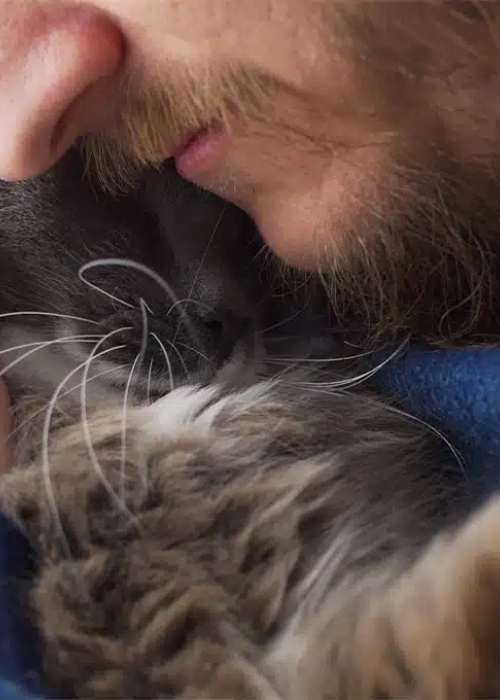 Bearded man cuddling gray cat