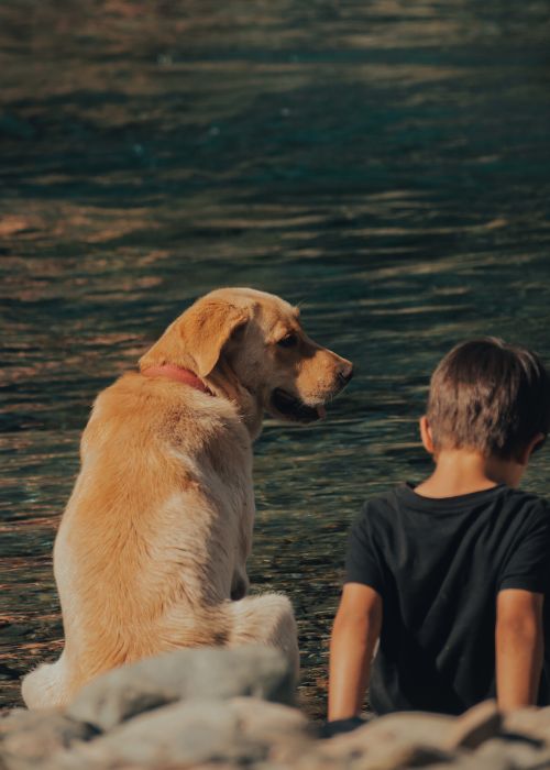 Dog and child near water