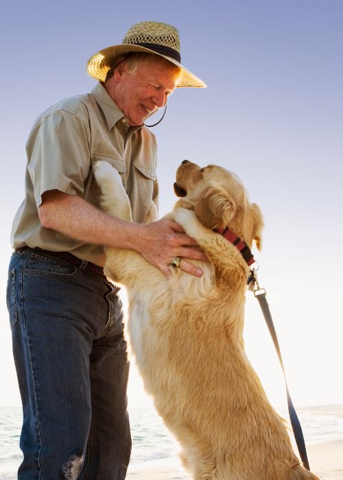Man hugging dog on beach