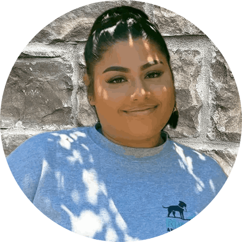 Dog walking on floor