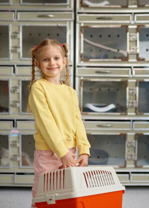 Veterinarian examining cats in cages