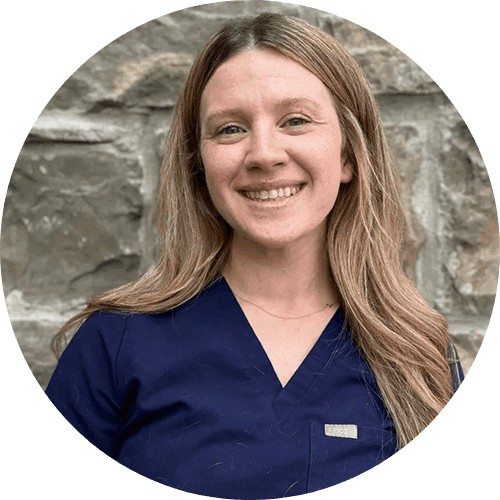 Dogreachesforpizzaslice